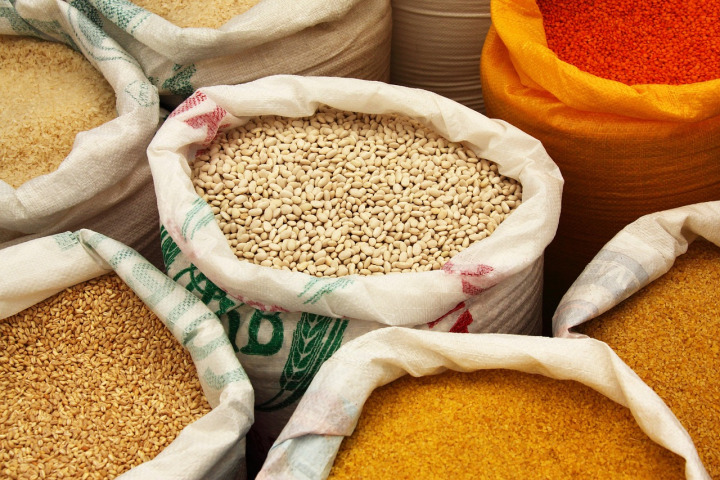 wheat grains closeup